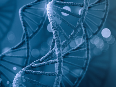 如何复习IB生物考试呢？这13个问题术语要提前了解哦内容图片_2