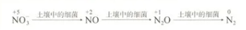  AP环境科学知识点-氮的讲解来了  氮循环可是重点哦内容图片_4