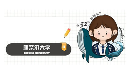 如何申请康奈尔大学本科?尽你所能 事事完善内容图片_1