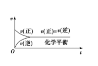 AP化学可逆反应讲解   快观察平衡状态内容图片_2