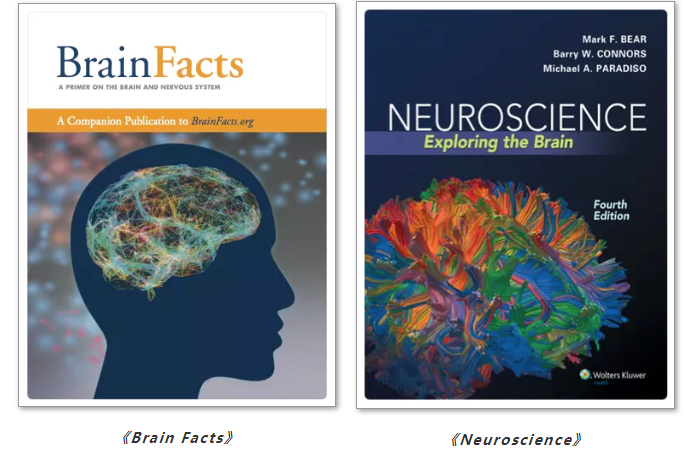 准备留学的背景提升Brainbee竞赛要看什么书?Neuroscience+Brain Facts内容图片_2