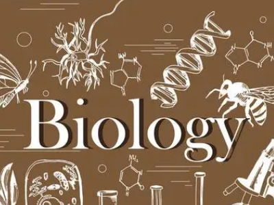 AP生物复习攻略分享来了  赶紧开始计时模考