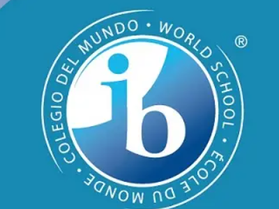 IBDP课程难点在哪里呢？数理化生几个热门学科难点来了