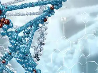 英国生物专业院校推荐   生物专业有这些分支可以申请