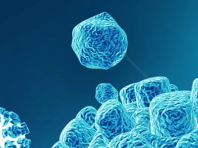 Alevel生物实验题注意事项分享来了  10月大考的你要记住！