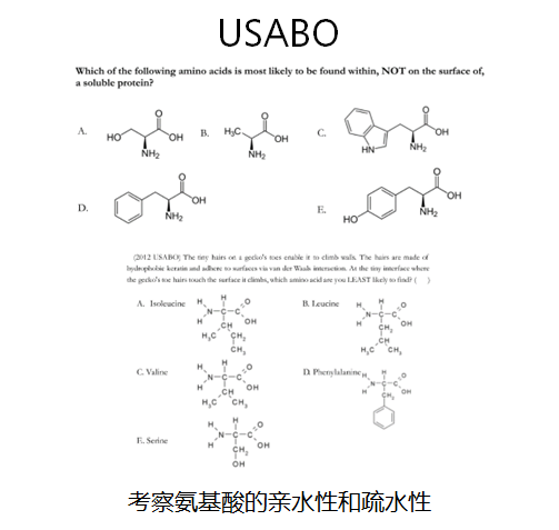 USABO和BBO哪个好 含金量都很高可以一起准备内容图片_4