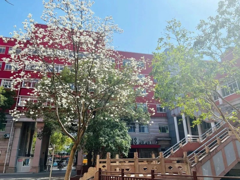 上海AP学校哪家强?星校全美前30大学录取率超80%内容图片_8