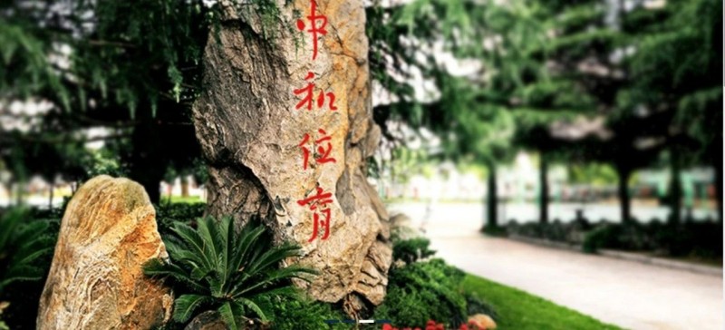 上海AP学校哪家强?星校全美前30大学录取率超80%内容图片_6