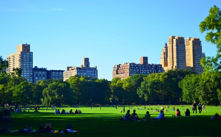 纽约大学申请难不难?录取率连年降低!内容图片_1