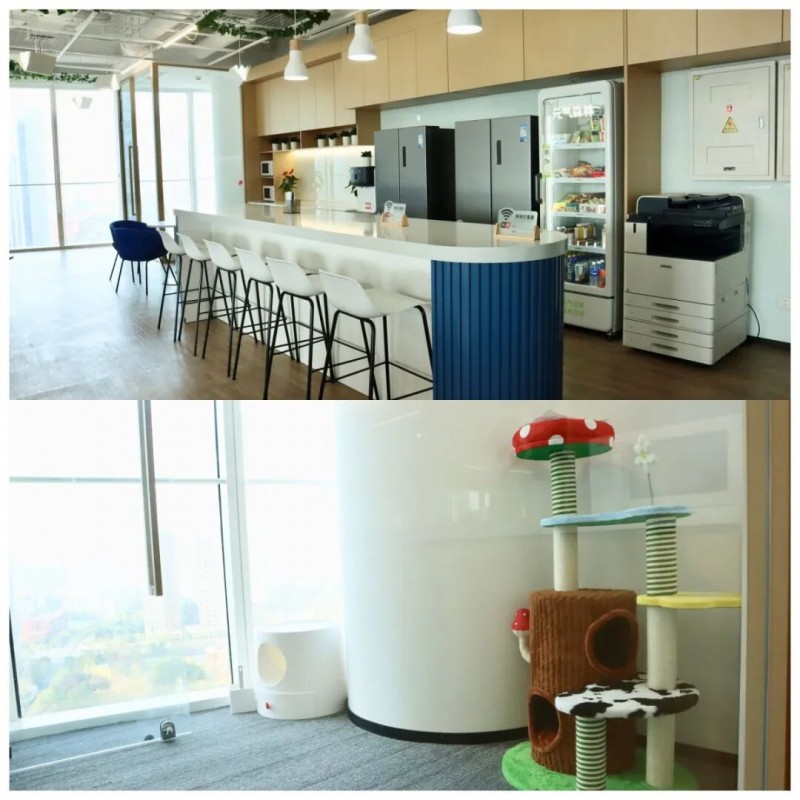 重磅!唯寻国际教育望京校区开业!内容图片_8 重磅!唯寻国际教育望京校区开业!内容图片_8